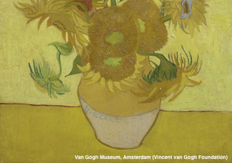 Amsterdam: Van Gogh Museum Guided Tour With Entry - Inclusions and Services