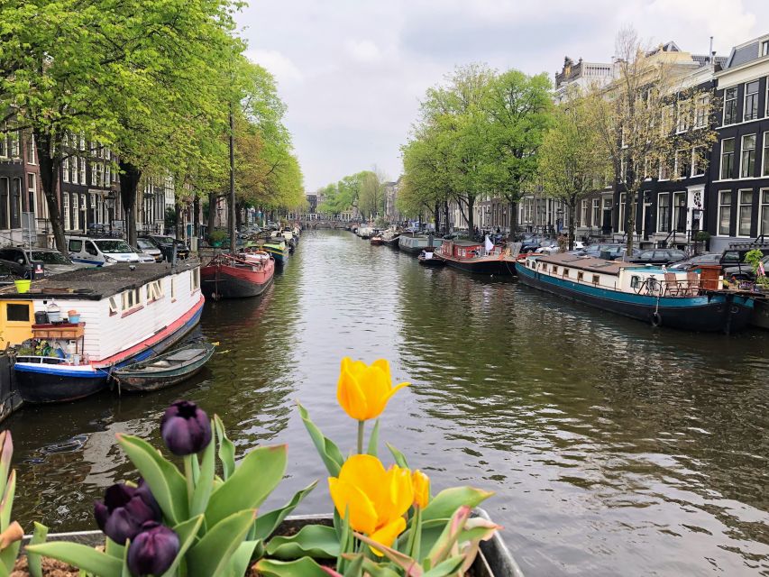 Amsterdam Walking Tour With a Comedian as Guide: City Centre - Experience Highlights