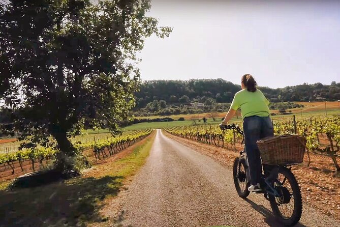 An All-Terrain Electric Scooter Excursion in Génissieux - Uncover Scenic Routes and Hidden Gems