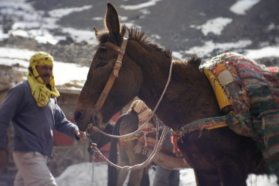 Ancient TOUBKAL 2 Days and One Night - Tour Highlights