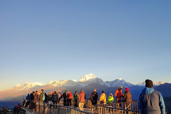 Annapurna Base Camp Trek 12 Days - Experienced Guide and Support Team