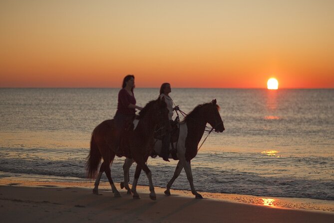 Antalya Horse Riding On Beach And Through The Forests For 2 Hours - Tips for a Memorable Horse Riding Experience