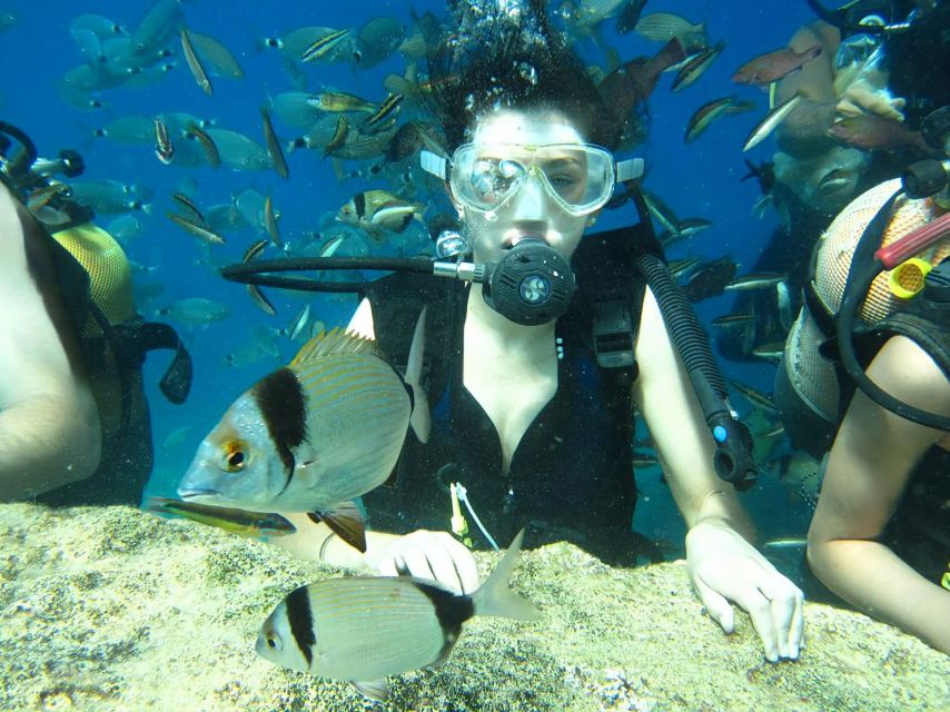 Antalya/Kemer: Scuba Diving Experience With Lunch & Pick up - Activity Inclusions