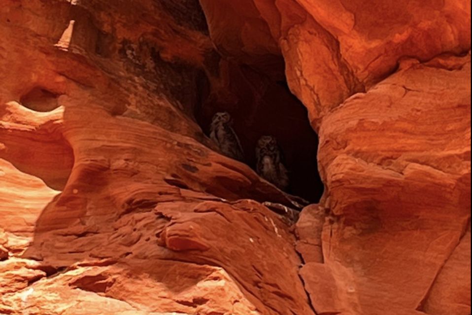 Antelope Canyon: Owl Canyon Guided Hiking Tour - Location and Meeting Point