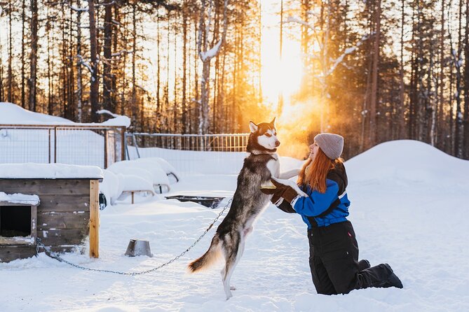 Apukka Husky Adventure in Rovaniemi - Safety Considerations and Recommendations