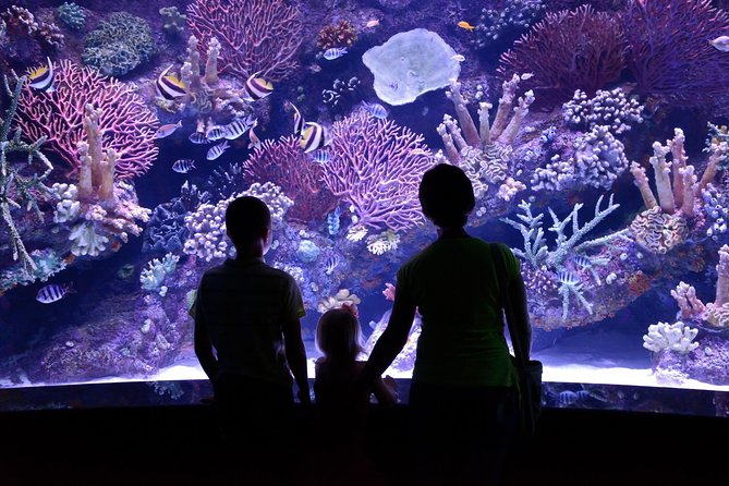 Aquarium & Face2face Wax Museum From Antalya - Inclusions: Hotel Transfers & Entrance Fees