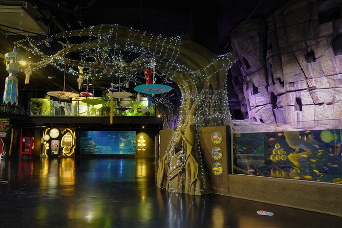 Aquarium Phuket and AR Trick Eye Museum Combo Tickets - Experience at Aquaria Phuket