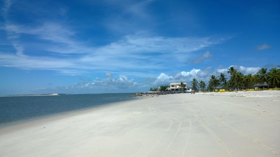 Aracaju: Tour to Saco Beach - Tour Experience