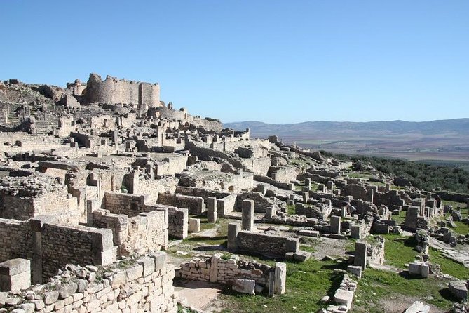 Archaeological Day Tour : Visit of Thugga/Dougga and Bullaregia - Expert Guide Insights