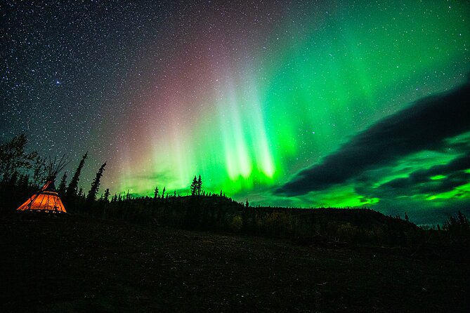 Arctic Day: Aurora Viewing Tour Evening - What to Expect