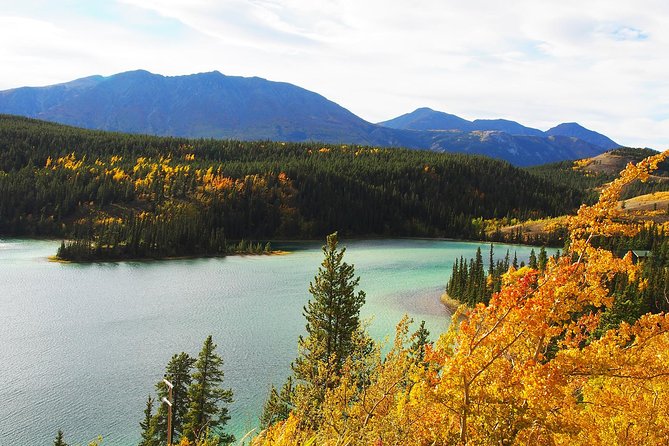 Arctic Day: Carcross & Southern Lakes Hiking Tour Full Day - Safety Guidelines