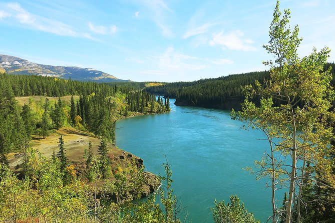 Arctic Day: Hiking Tour Half Day - Tour Logistics