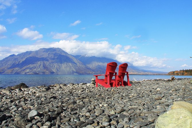 Arctic Day: Kluane National Park Tour Full Day - Pricing and Booking Info