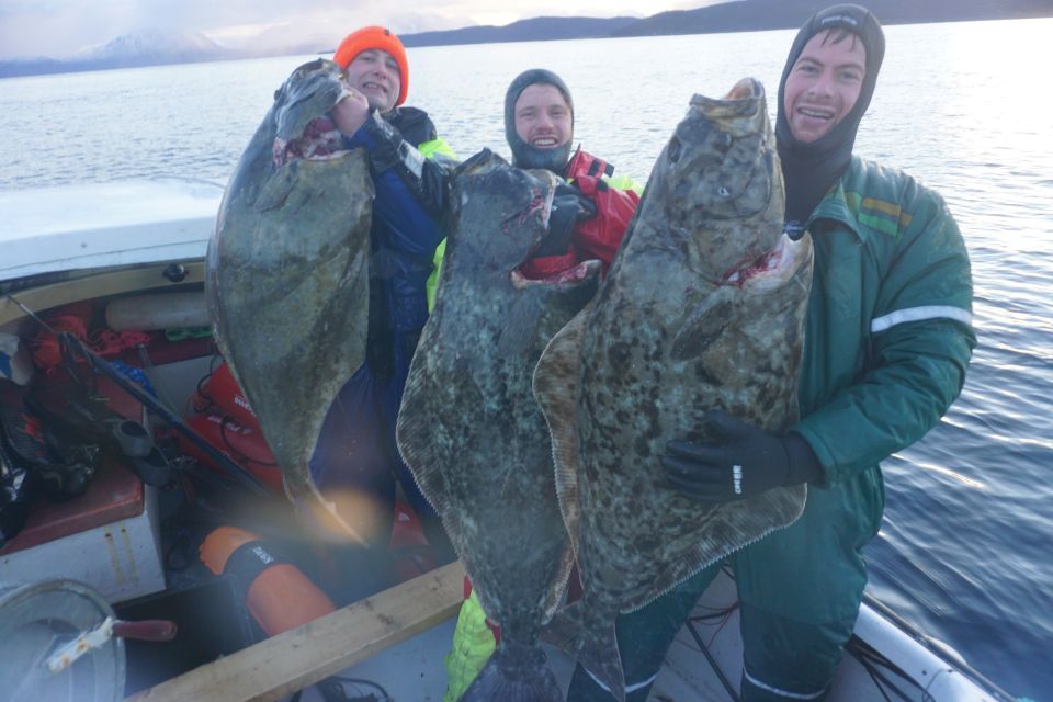 Arctic Spearfishing Guided Trip - Last Words