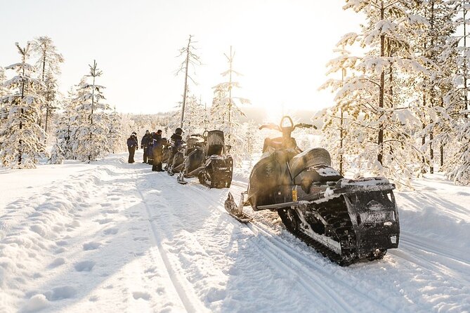 Arctic Wilderness Snowmobile Adventure With Lunch  - Rovaniemi - Customer Reviews