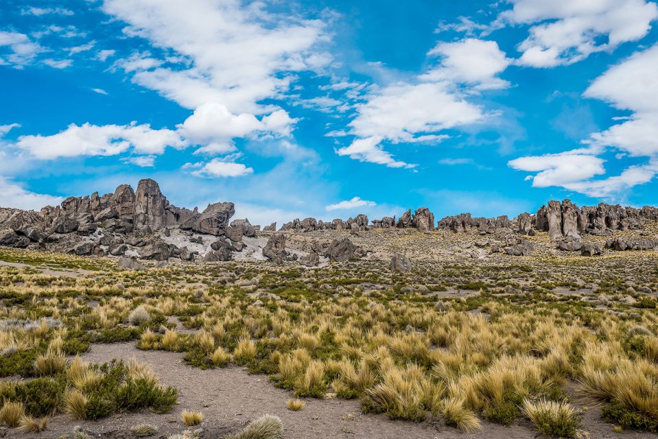 Arequipa: Reserve of Salinas and Aguada Blanca-Lojen Volcano - Inclusions