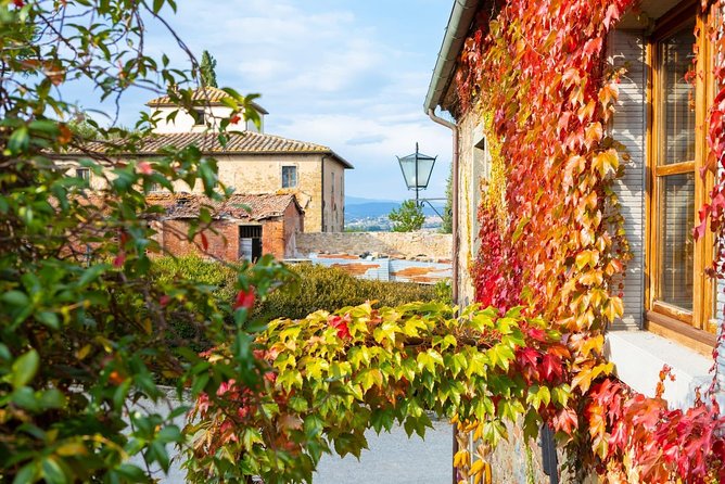Arezzo: Wine Tasting Experience in Valdichiana Area - Directions