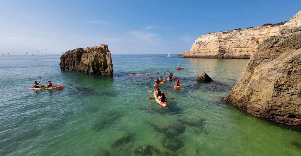 Armação De Pêra: 2-Hour Wild Beaches and Caves Kayak Tour - Tour Description