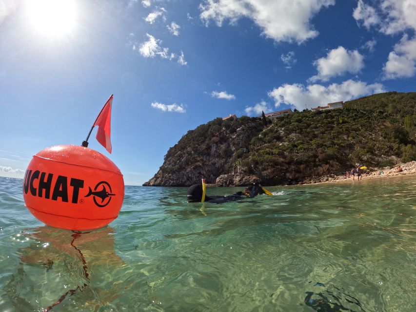 Arrábida: Snorkeling Experience in Arrábida Marine Reserve - Ratings and Reviews