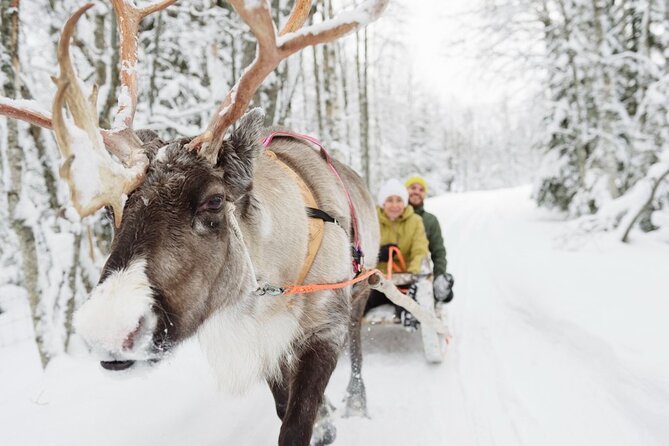 Article Circle Santas Village Tour From Rovaniemi (Mar ) - What To Expect