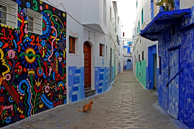 Asilah and Tangier Sightseeing Tour & Camel Ride - Pricing Details