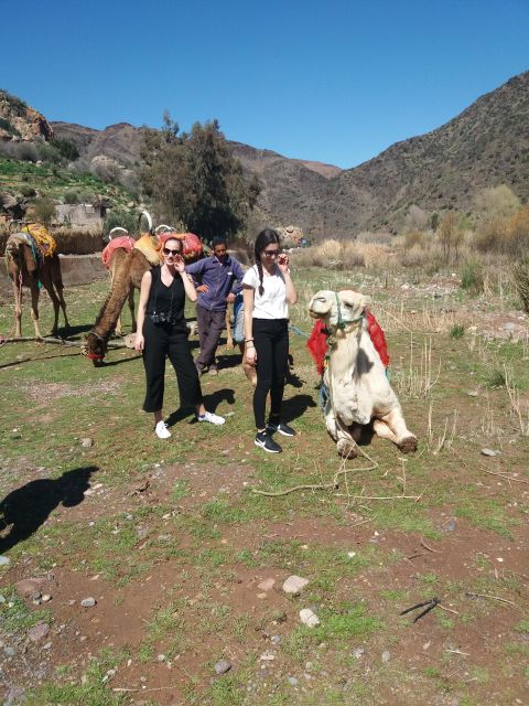 Atlas Mountain and Berber Villages Day Tours From Marrakech - Full Tour Description