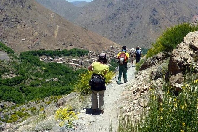 Atlas Mountain& Berber Village Day Trip From Marrakech - Pricing Details