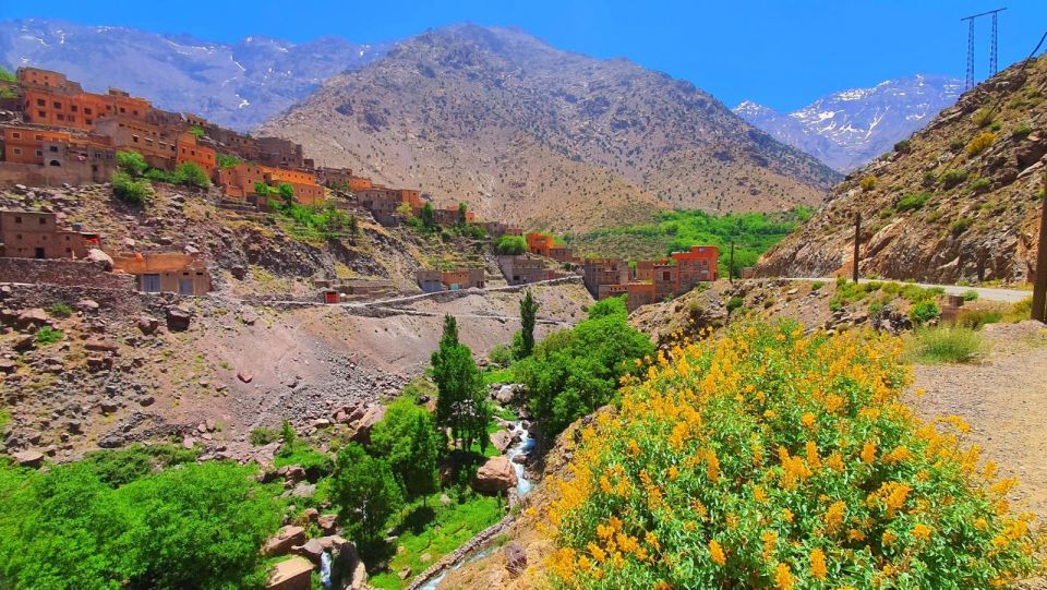 Atlas Mountains and Camel Ride & 3 Valleys With Waterfalls - Tour Inclusions