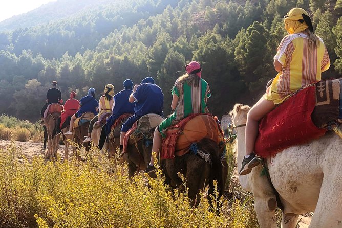 Atlas Mountains and Three Valleys & Waterfalls - Camel Ride Day Trip Marrakech - Logistics and Policies