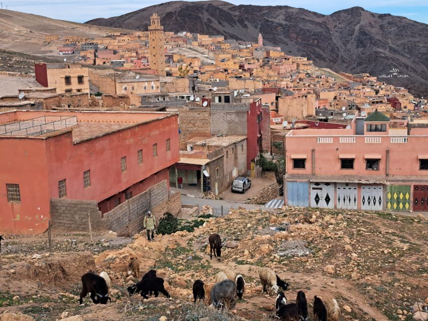 Atlas Mountains Day Trip & There Valleys With Lunch - Experience Highlights