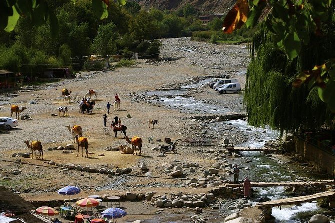 Atlas Mountains Day Trip With Camel Ride - Scenic Views