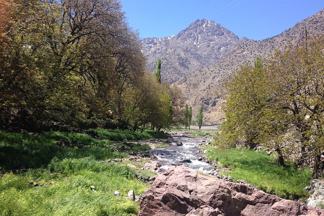 Atlas Mountains, Waterfalls and Berber Villages With a Guide - Guides Insights