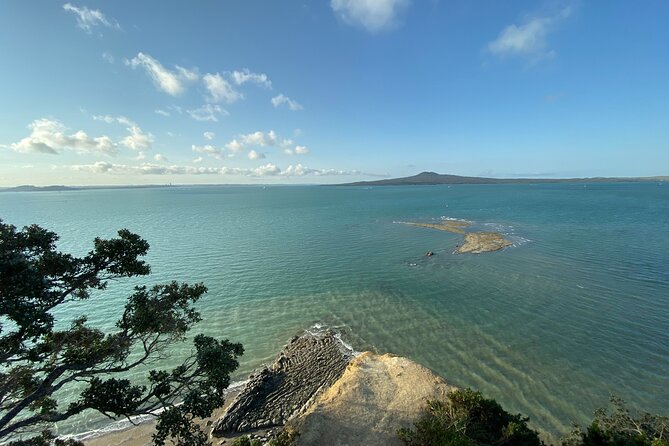 Auckland Coastal Discovery - Private Tour Incl. Wine Tasting - Wine Tasting Experience