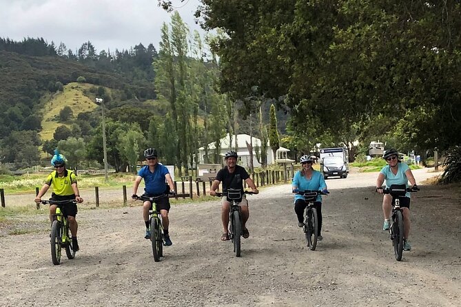 Auckland Half Day E-Bike Excursion - Reviews and Feedback
