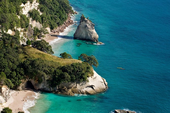Auckland to Coromandel Private Tour - Meeting and Pickup Details