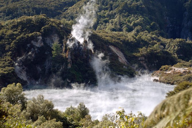Auckland to Rotorua Private Tour - Meeting and Pickup Details