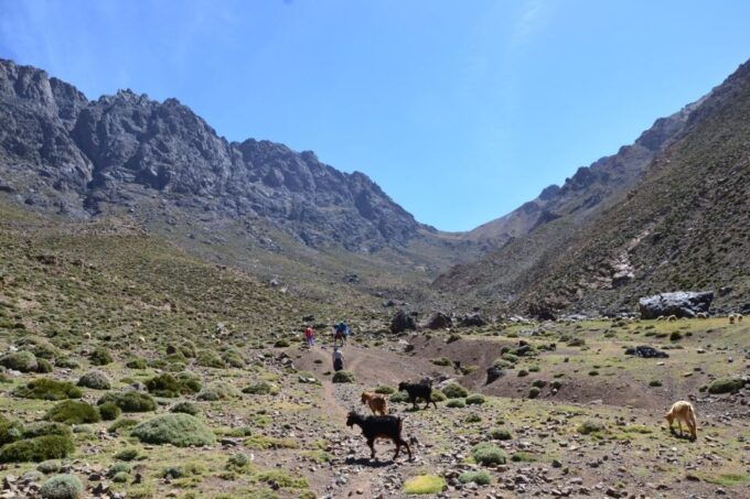 Authentic Day Walk in Atlas Mountains - Tour Highlights