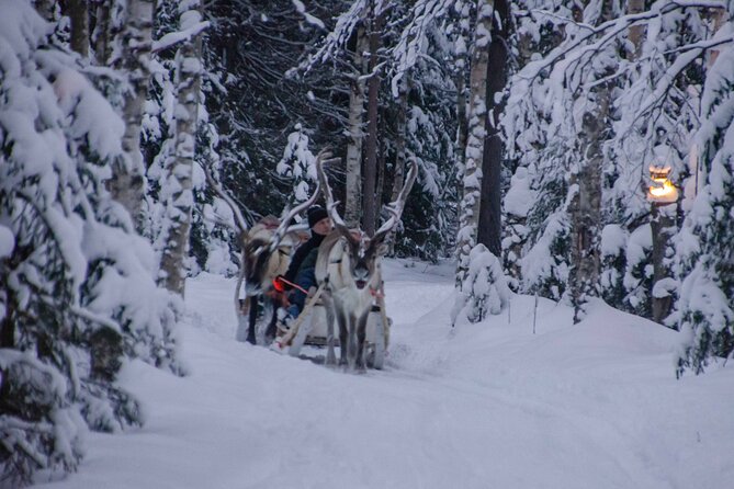 Authentic Reindeer Farm Experience in Rovaniemi - Savor Authentic Local Cuisine