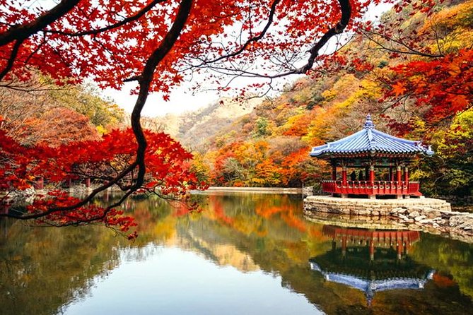 Autumn 3 Days Jeonju&Mt. Naejansan&Seoul on 4-12 Nov - Cancellation Policy
