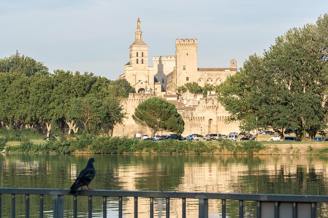 Avignon & Chateauneuf Du Pape Wine Tour - Additional Considerations