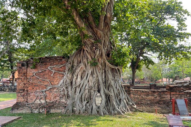 Ayutthaya Private Guided Day Trip From Bangkok - Traveler Experience and Reviews