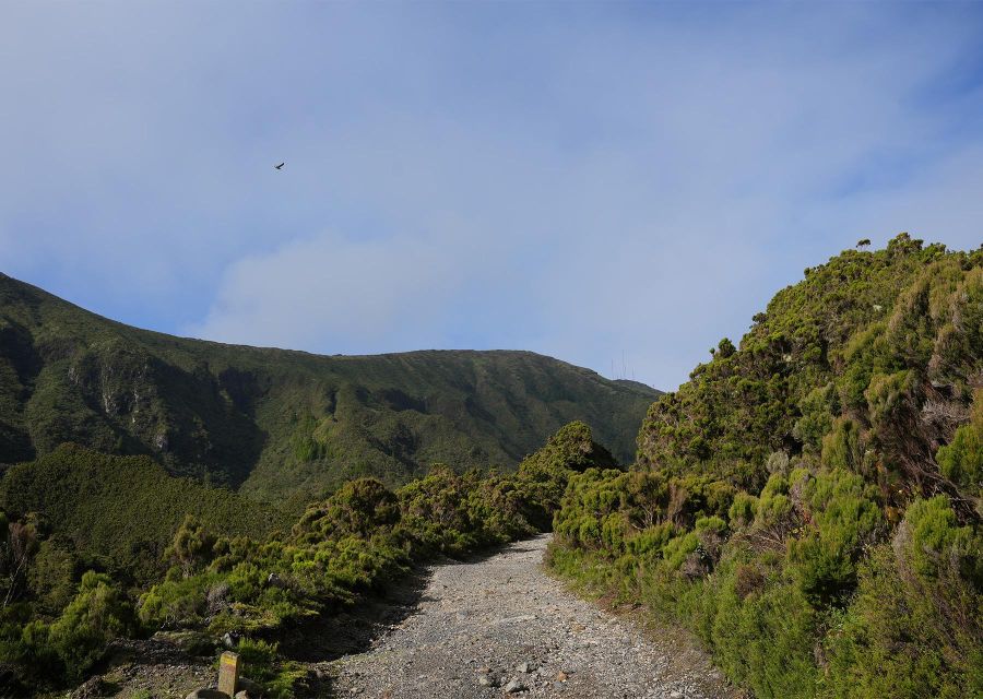 Azores: São Miguel and Lagoa Do Fogo Hiking Trip - Experience Highlights