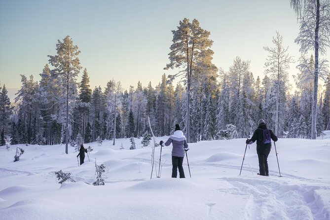 Backcountry Ski Adventure From Rovaniemi - Cancellation Policy