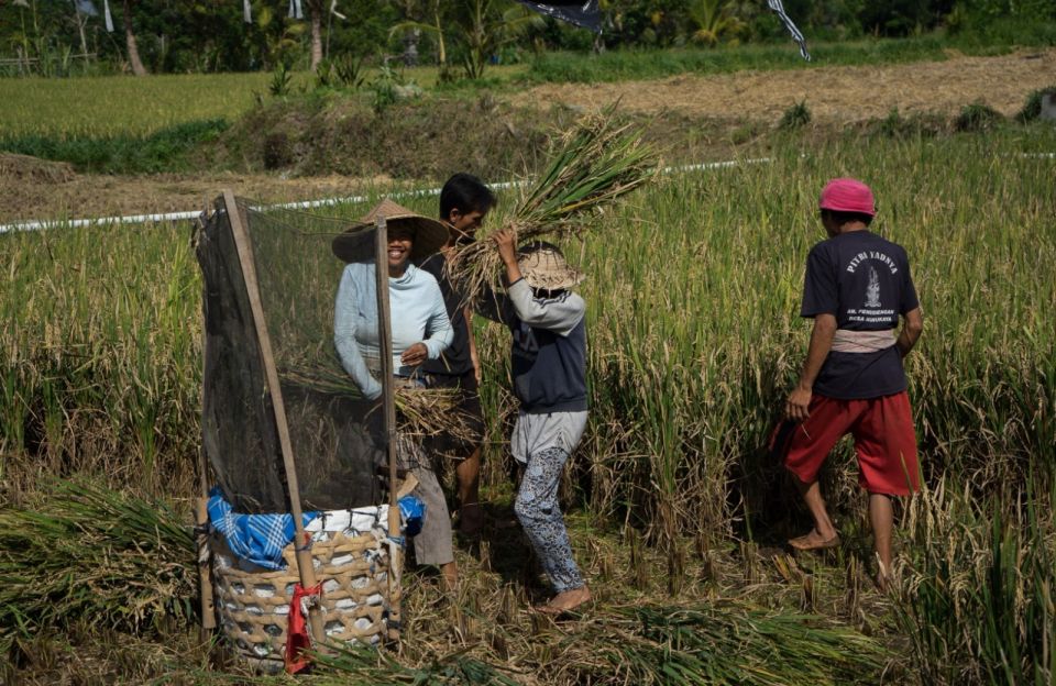 Bali: 6-Hour UNESCO Sites Cultural Walking Tour - Customer Feedback