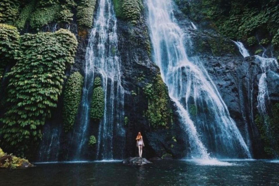 Bali: Amazing Secret Waterfall at North Bali - Tour Highlights