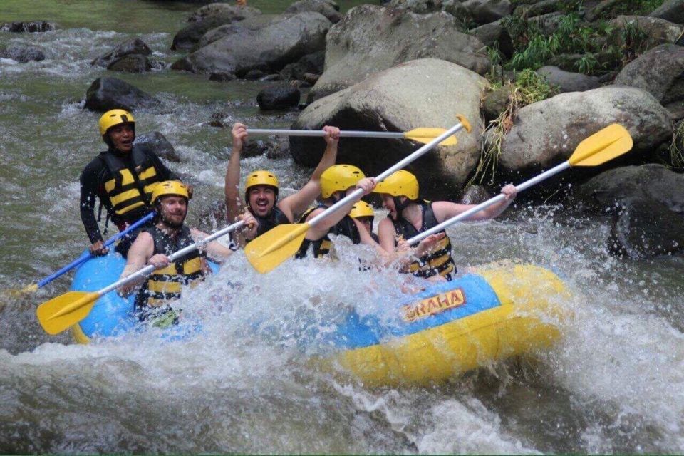 Bali Ayung Rafting and Jungle Swing - Activity Experiences