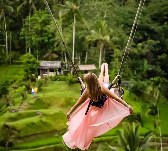 BALI : Costumized Full-Day Tour Option With Chauffeur - Tour Description