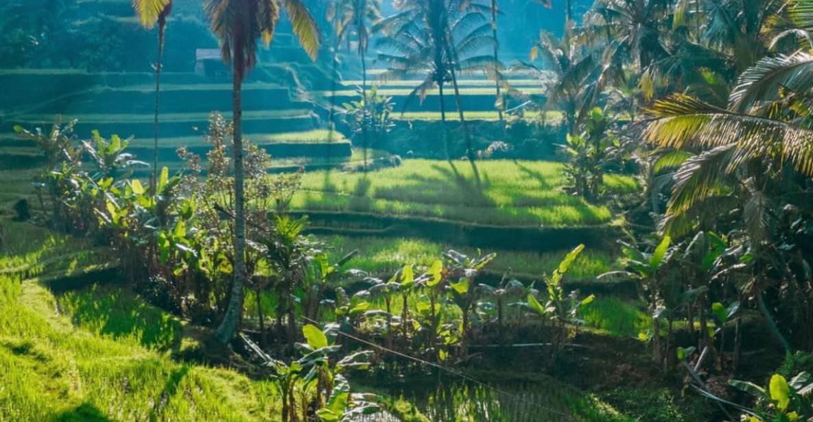 Bali Customized Full-Day Private Tour - Customer Reviews