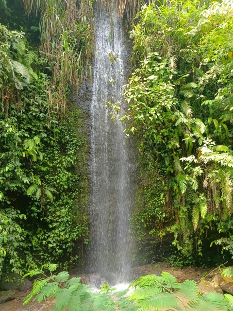 Bali : Day Trip to Besakih Temple & 2 Hidden Waterfalls - Activity Description