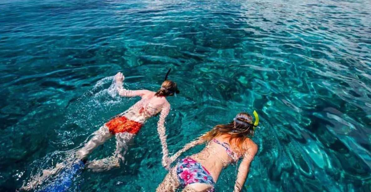 Bali: Dolphin Watching, Snorkeling & Hot Spring Tour - Inclusions